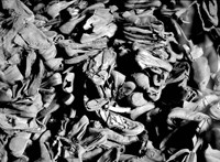 Eltemették a nácik által meggyilkolt emberek orvosi célokra használt szövetmintáit