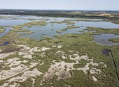 Quizás el lago de Venecia no estaba tan mal como para que ahora apenas tenga agua