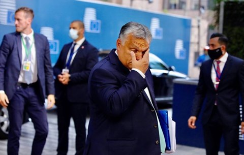 lehetőségek a képviselők számára)