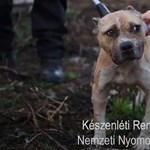 The police slapped the organizers of animal fights in Nagykőrös