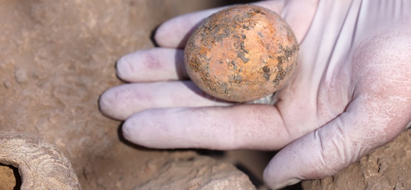 Se encontró un huevo de gallina milenario y todavía es amarillo