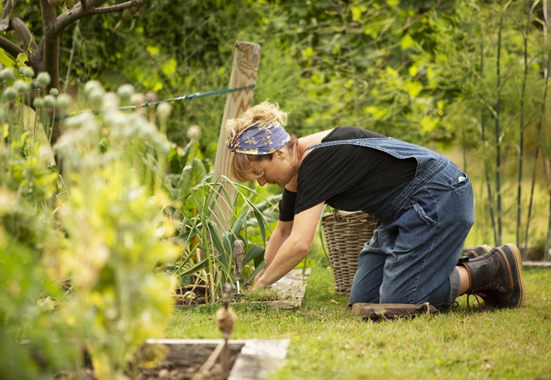 ¿Cómo puede combatir las plagas del jardín si evita los productos químicos?