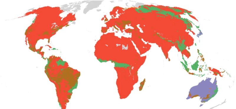 Mapa global creado: ¿Dónde está la amenaza para las espinas?